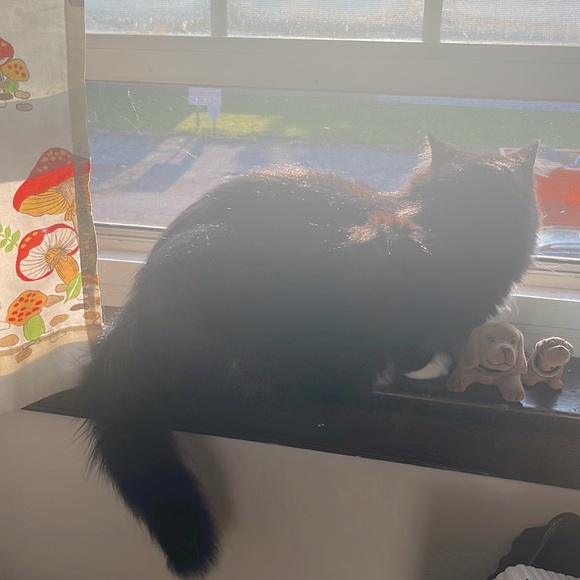 BUNDLE & MAKE AN OFFER!!!! - Picture 3 of 3